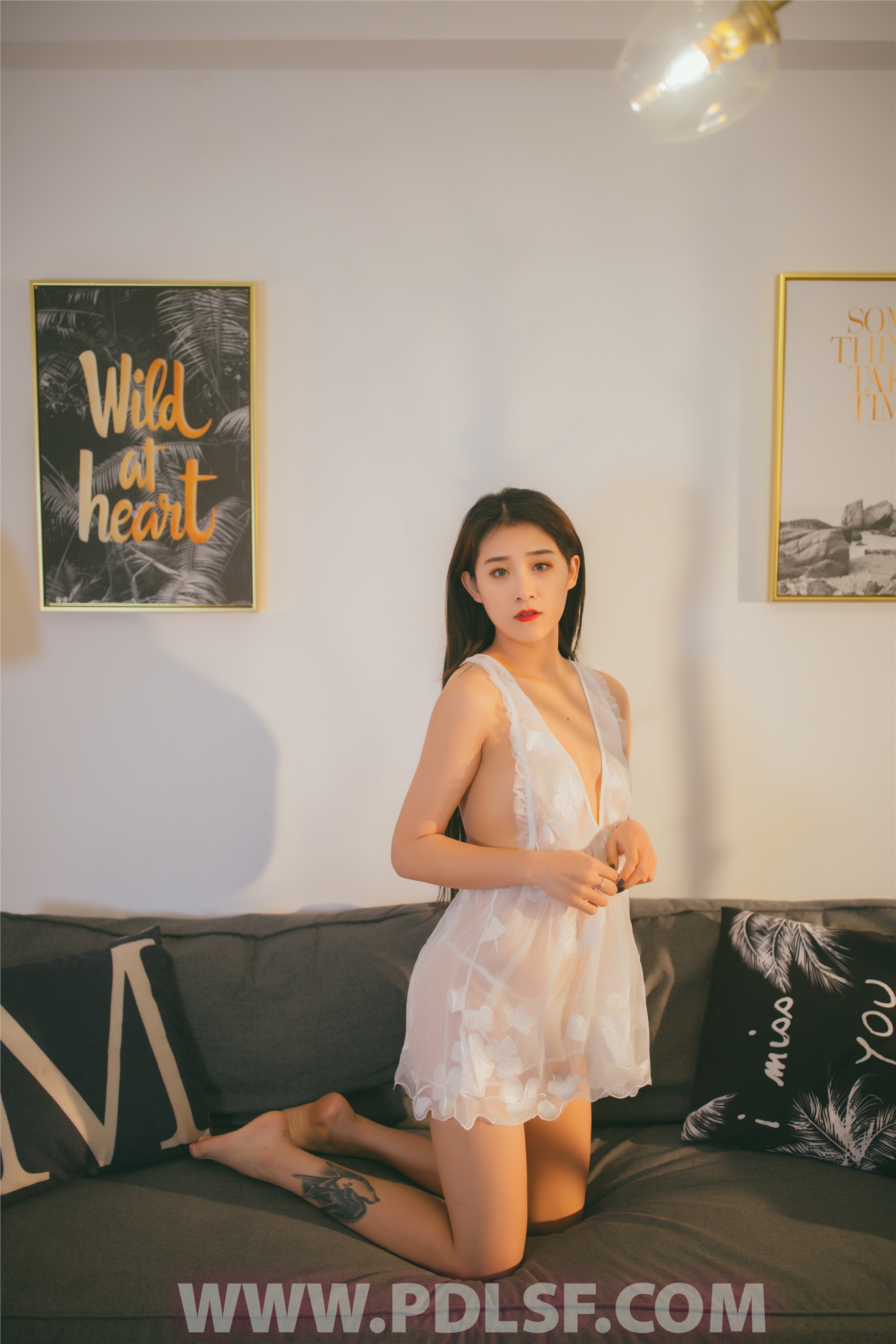 PDL潘多拉 2019.12.26 专辑No.258